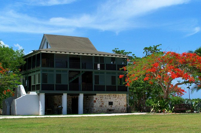 Grand Cayman Private Customized Bus Tour - Devil’s Grotto and Cayman Turtle Farm: Nature Stops, Managed for You