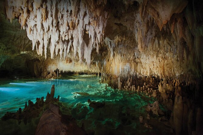Grand Cayman Private Customized Bus Tour - Price and Group Size: Is $1,300 Good Value?