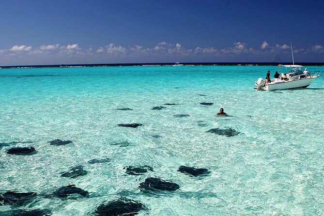 Grand Cayman Stingray City and Reef Snorkeling Combo Tour - Key highlights