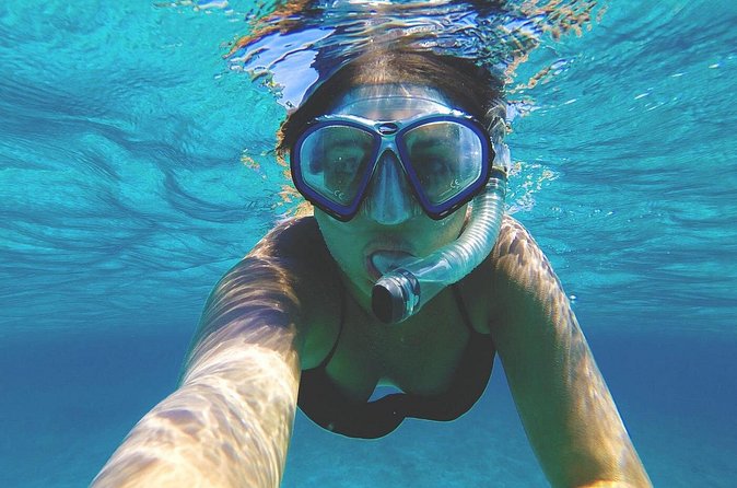 Grand Cayman Stingray City and Reef Snorkeling Combo Tour - Wildlife encounters: stingrays, fish, and the occasional bonus surprise