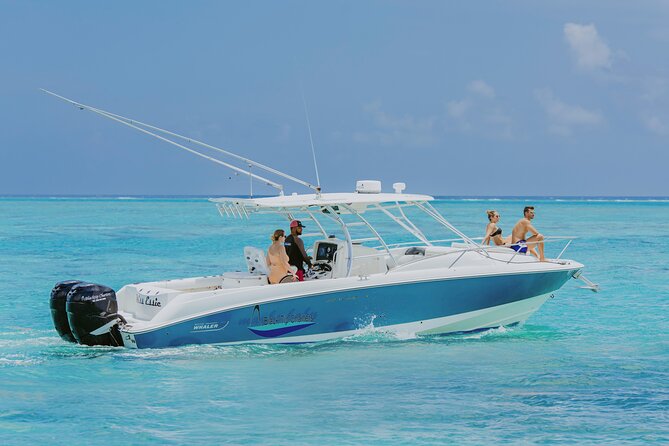 Half-Day Private Stingray City Charter - Grand Cayman - BTC - Key highlights before you go