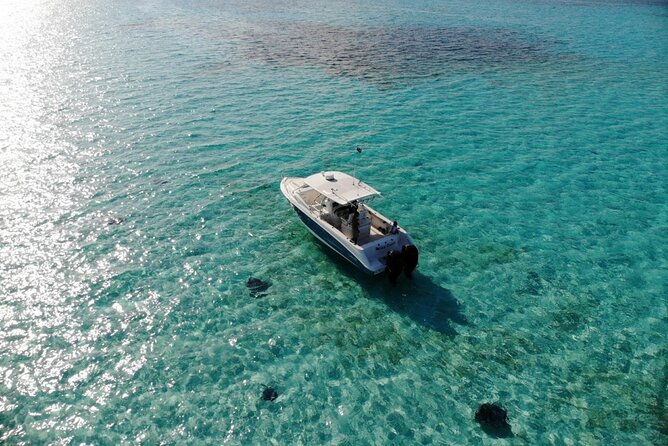 Half-Day Private Stingray City Charter - Grand Cayman - BTC - Why this private Stingray City charter feels calmer than the cruise crowd