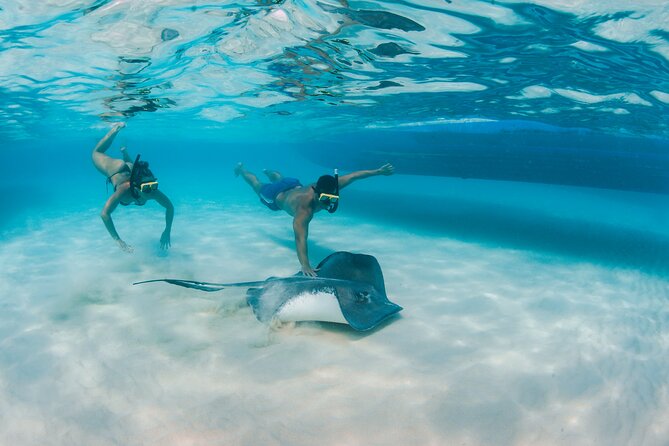 Half-Day Private Stingray City Charter - Grand Cayman - BTC - What’s included on board, and why it affects your value