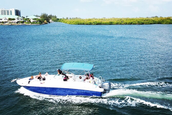 Half-Day Private Stingray City Charter in Cayman Islands - Starfish Point: A Quieter Pause That Works for Everyone