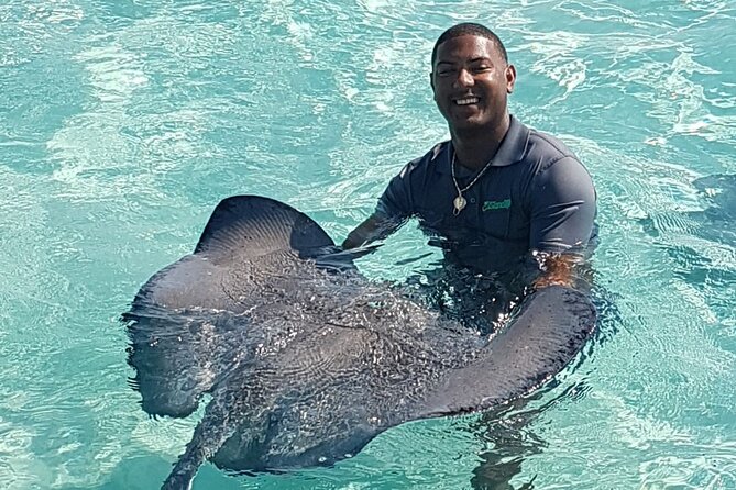 Half-Day Private Stingray City Charter in Cayman Islands - Stingray City Sandbar: The Up-Close Interaction Most People Dream About