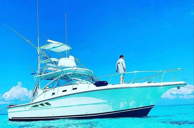 Luxury Private Fishing Charters - FULL DAY CHARTER - The comfort extras: Wi-Fi, restroom breaks, and staying sane on a boat