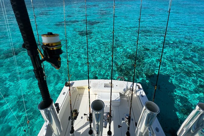 Luxury Private Fishing Charters - FULL DAY CHARTER - What to expect if the bite is slower