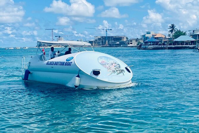 Oculus Glass Bottom Boat Tour - Key highlights at a glance