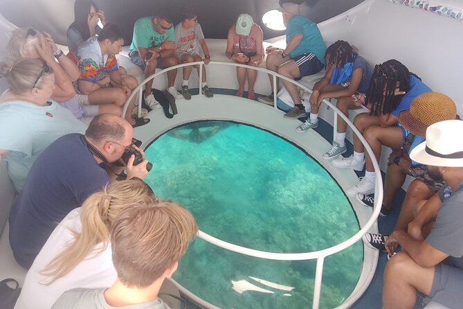 Oculus Glass Bottom Boat Tour - George Town stop: Cheeseburger Reef and its underwater sculptures