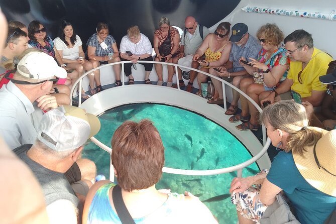 Oculus Glass Bottom Boat Tour - Optional snorkeling and swimming: when you should say yes