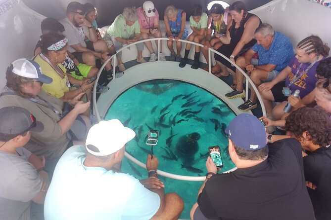 Oculus Glass Bottom Boat Tour - Price and what you’re really paying for at $59.95