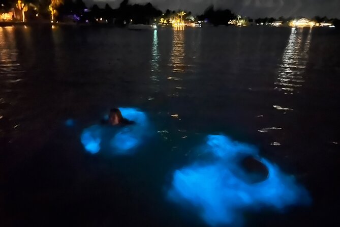 Private: Bioluminescence Tour - Key things that make this tour worth it