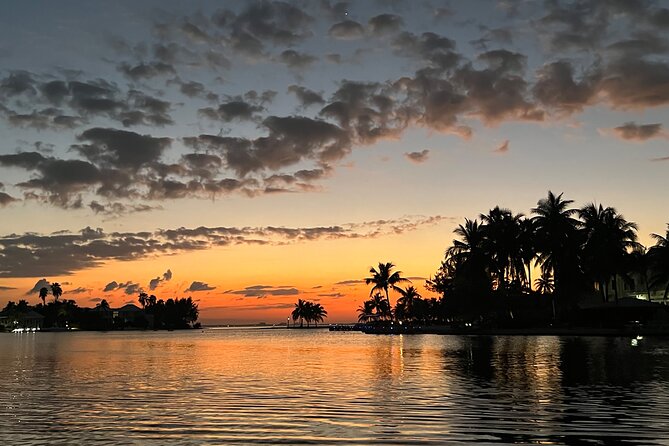 Private: Bioluminescence Tour - Why Grand Cayman’s bioluminescent bay is so special
