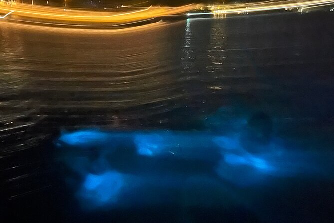 Private: Bioluminescence Tour - Moonlight, tides, and what to expect on your exact date