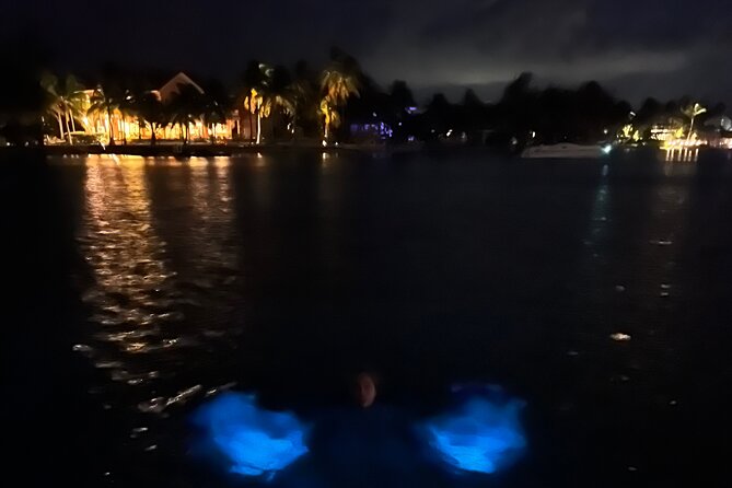 Private: Bioluminescence Tour - What’s included, and what you should bring to be comfortable