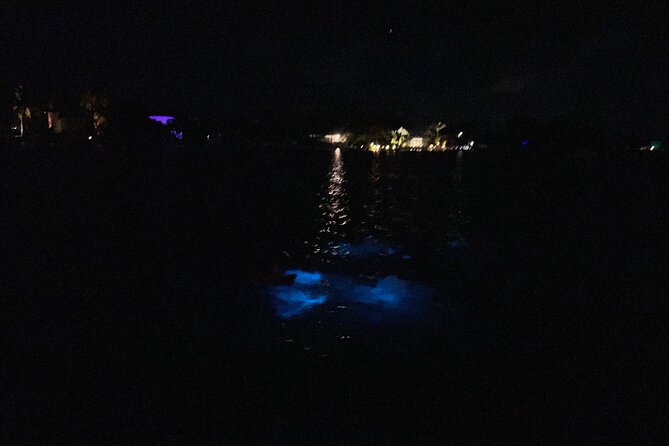 Private: Bioluminescence Tour - Value: what $599 per group really buys you