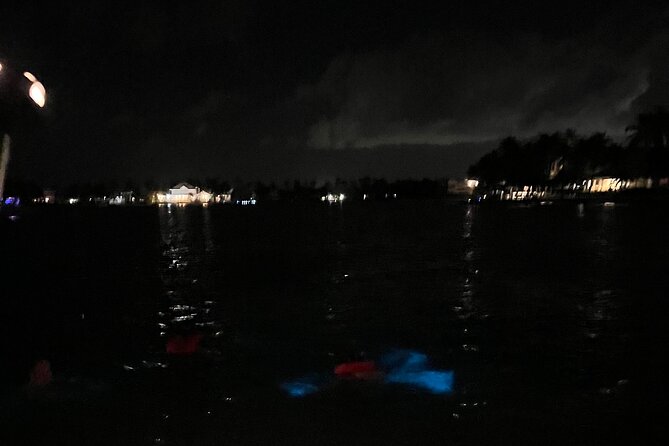 Private: Bioluminescence Tour - Who this private bioluminescence tour is best for