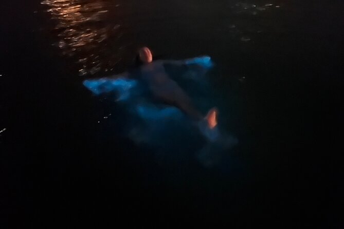 Private: Bioluminescence Tour - Should you book the Island Charter bioluminescence tour?