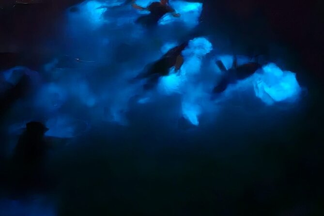 Private Bioluminescence Tour in Grand Cayman - Price and value: is $1,025 per group actually fair?