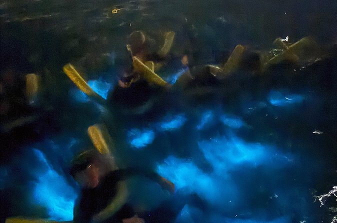 Private Bioluminescence Tour in Grand Cayman - Moderate fitness, night conditions, and what to plan for