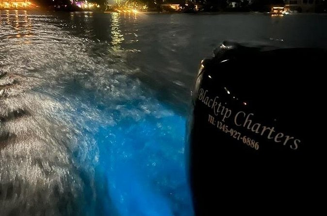 Private Bioluminescence Tour in Grand Cayman - Weather matters more than you think