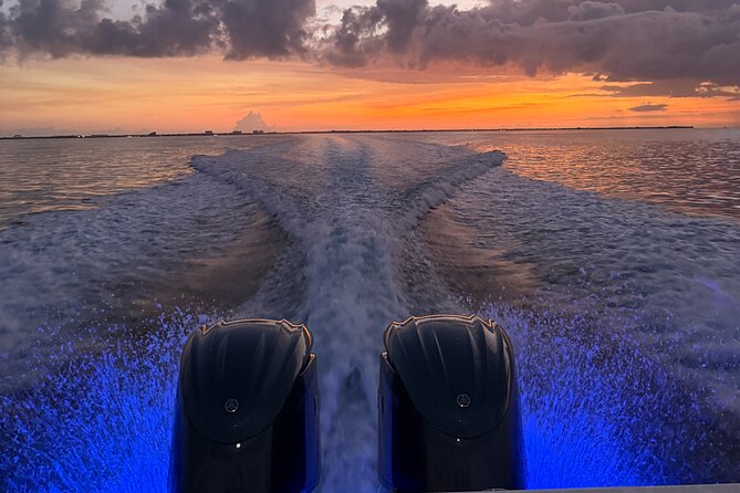 Private Bioluminescence Tour in Grand Cayman - What happens on the boat and at the bioluminescent bay