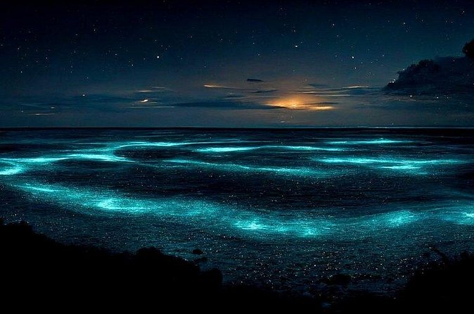 Private Bioluminescent Bay Tour - What you actually get on board: gear, food, and comfort