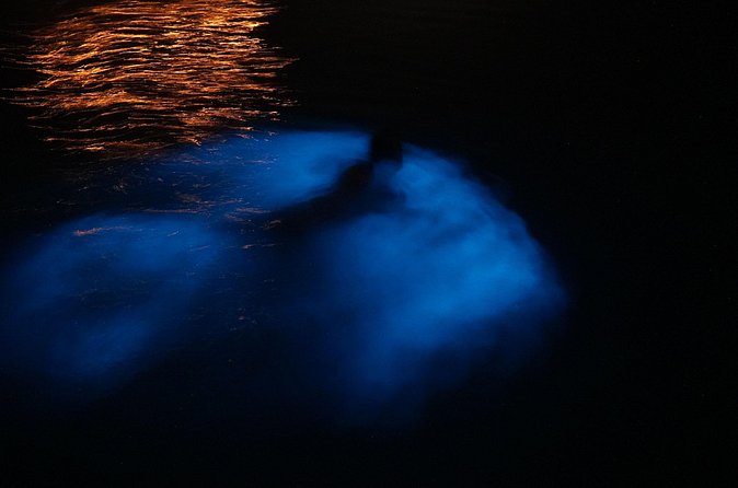 Private Boat Charter Experience in Bio Bay Cayman Island - What Could Go Wrong: Weather, Wind, and Bioluminescence Variability