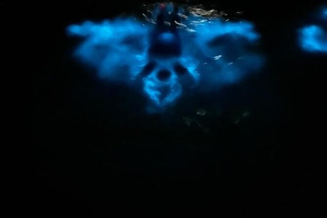 Private Boat Charter Experience in Bio Bay Cayman Island - The Bio Bay Stop: How Bioluminescence Works and What You Can Control