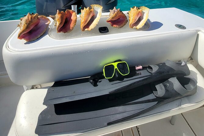 Private Boat Charter in Cayman Islands - Starfish Point: hold them only gently, and keep them in the water