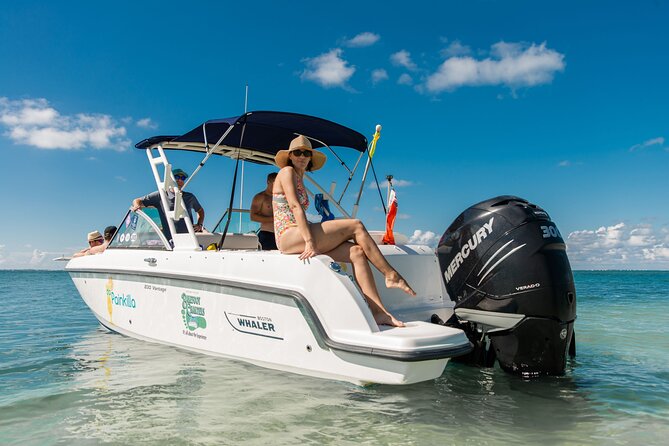 Private boat charter in Grand Cayman - The boat ride: Boston Whaler Vantage, practical comfort