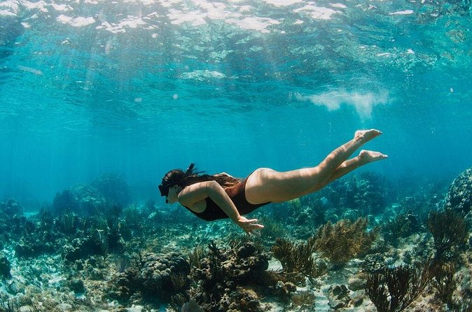 Private Boat Charter Snorkeling Stingray City or Bio Bay - Why $600 per group can be real value, not just a splurge