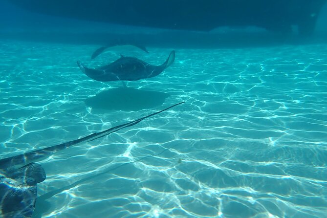 Private Boat Tour in Cayman Islands - Meeting at Cayman Islands Yacht Club and getting oriented fast