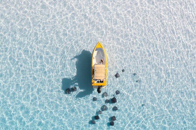 Private Boat Tours: Customize Your Grand Cayman Adventure! - Snorkeling and Starfish Point: short stops that still feel complete