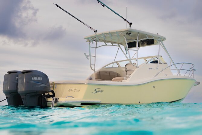 Private Boat Tours: Customize Your Grand Cayman Adventure! - Stingray City first, and how to get the best stingray time