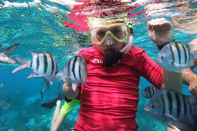 Private Charter 28ft Grady White. Stingrays, Snorkeling, Starfish - Price and value: $750 per group, so plan for how many you’ll actually bring