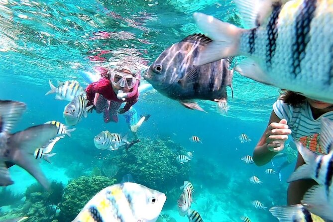 Private Charter 28ft Grady White. Stingrays, Snorkeling, Starfish - Stingray City sandbar: captain-led safety and calm confidence