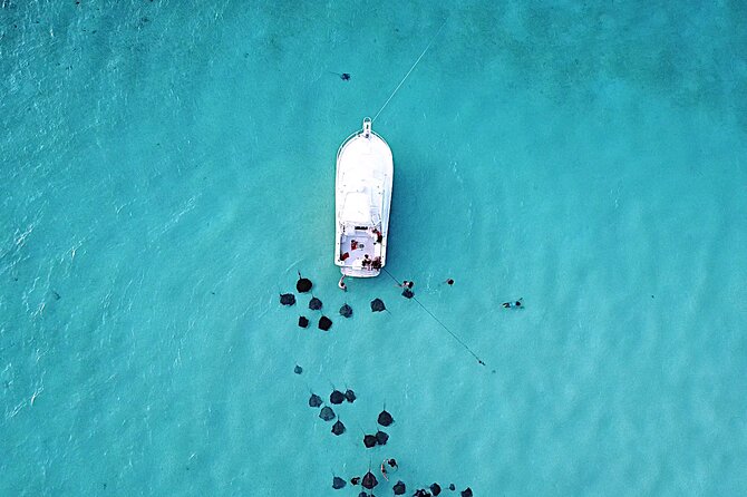 Private Charter 34ft Express Cruiser Stingay City Reef Snorkeling - Key highlights that matter on this charter