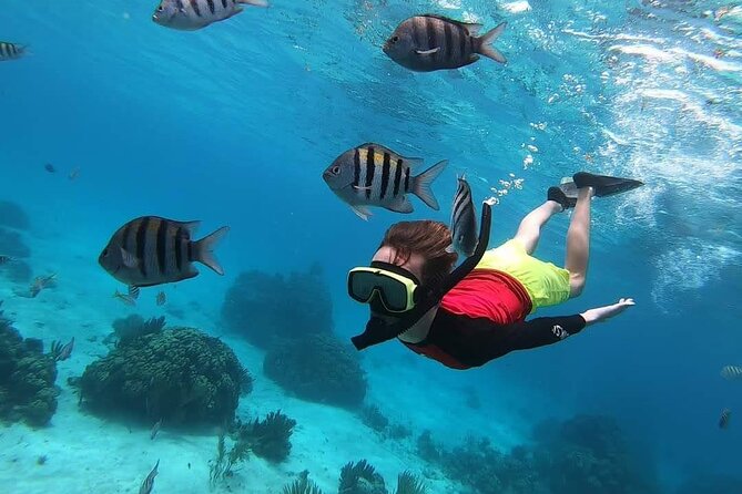 Private Charter 34ft Express Cruiser Stingay City Reef Snorkeling - Rum Point reef snorkeling: coral time that feels like real Cayman water