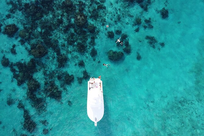 Private Charter 34ft Express Cruiser Stingay City Reef Snorkeling - Fishing with light-tackle rods: optional fun when you want more than snorkeling