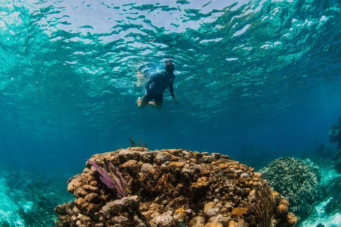 Private Charter Reef fishing, Stingray City, Snorkel, Mangroves - Why a private 5 to 6 hour charter makes Stingray City feel calmer