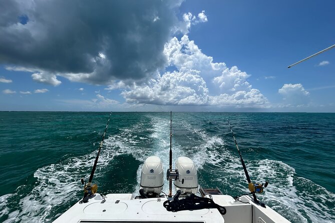 Private Charter Reef fishing, Stingray City, Snorkel, Mangroves - Stop 3: Starfish Point (30 minutes) for easy, shallow water moments
