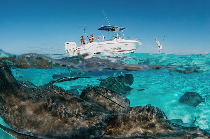 Private Charter Reef fishing, Stingray City, Snorkel, Mangroves - Stop 4: Rum Point (1 hour) to reset on a quieter stretch