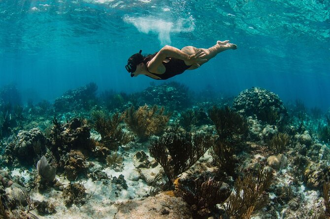 Private Charter Reef fishing, Stingray City, Snorkel, Mangroves - Stop 5: Bioluminescent Bay at night (45 minutes) for the guided blue glow