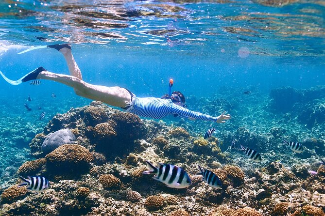 Private Half Day Boat Tour, 3 locations of your choice - Private 3-Stop Boat Tour, Your Grand Cayman Choices