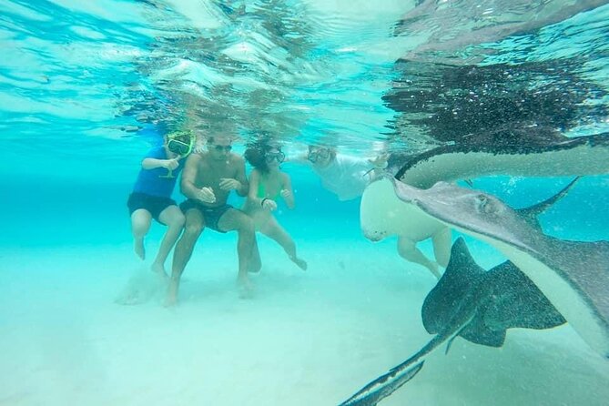 Private Half Day Boat Tour, 3 locations of your choice - Captain Humberto, Local Perspective, and the Value of Getting What You Want