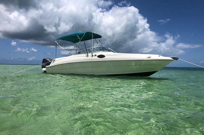 Private Half-Day Charter to Stingray City, Starfish Point and Snorkeling Tour - Price and Value for Up to 6 People
