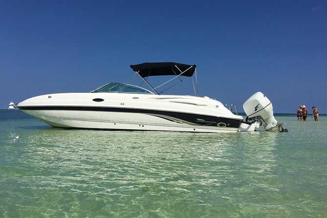 Private Half Day Stingray City, Snorkeling and Starfish Beach Tour - Quick hits you should care about