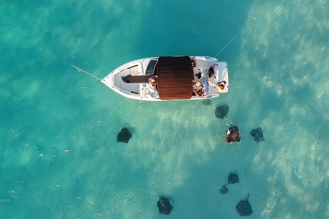Private, luxury, custom charters to Stingray City, Snorkeling & More - Key Points You Should Know Before Booking