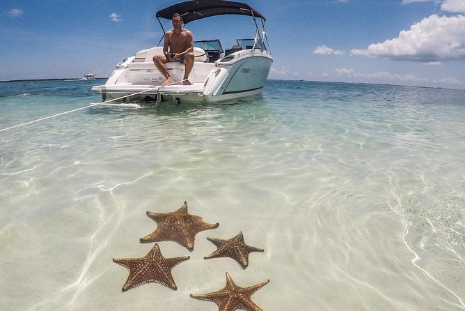 Private, luxury, custom charters to Stingray City, Snorkeling & More - The North Sound Stops: How to Plan Your Perfect Route